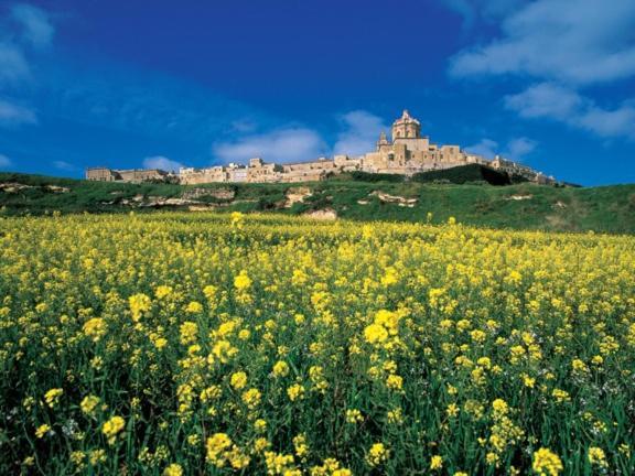 Stylish Bright And Airy Apart In Central Bugibba San Pawl il-Baħar Zewnętrze zdjęcie